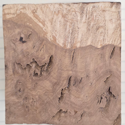 Oak Burl Block - 097