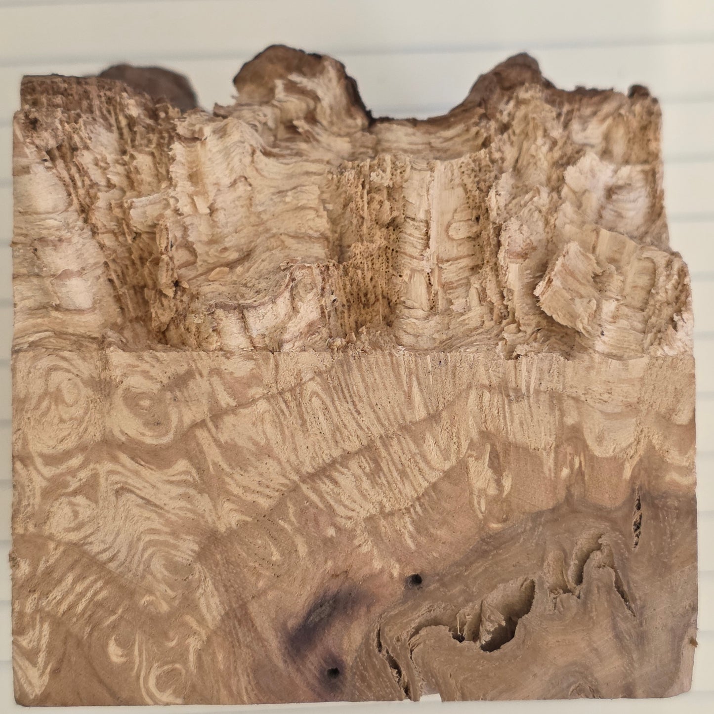 Oak Resin Burl Block - 098